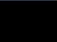 Screenshot des Blogs Eagle´s Blog