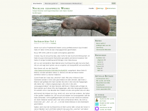 Screenshot des Blogs Nauklias gesammelte Werke