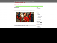 Screenshot des Blogs EM 2012 Fussball