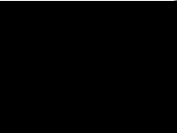 Screenshot des Blogs Volx-Mobil
