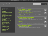 Screenshot des Blogs Wirtschaftsingenieurwesen Studium