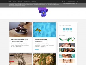 Screenshot des Blogs zeroutine