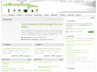 Screenshot des Blogs champions-live