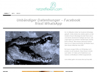 Screenshot des Blogs netzreflexion