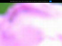 Screenshot des Blogs vier2und4zwanzig punkt