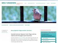 Screenshot des Blogs Weltansehen