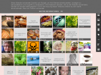 Screenshot des Blogs Ganzheitliche Frauenheilkunde