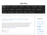 Screenshot des Blogs Addis Buzz