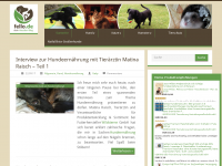 Screenshot des Blogs fello – Der Haustierblog