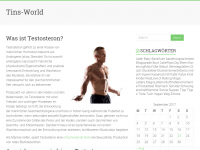 Screenshot des Blogs Tins World