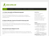 Screenshot des Blogs Liga-eins.de