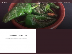 Screenshot des Blogs Stier88