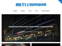 Screenshot des Blogs it’s a hoomygumb