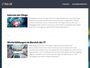 Screenshot des Blogs OSO Blog – eCommerce, eBusiness, Social Media