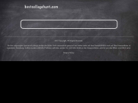 Screenshot des Blogs Bestcollegehunt
