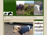 Screenshot des Blogs Nebelreiter