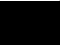 Screenshot des Blogs Birnis Blog