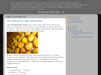 Screenshot des Blogs my Life my Turn