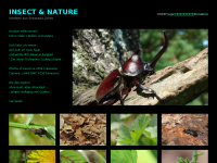 Screenshot des Blogs Insects and Nature from Shirakawa, Fukushima, Japan