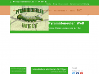 Screenshot des Blogs pyramideneule – Die Welt aus meiner Sicht