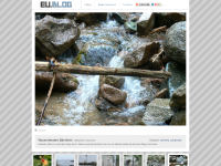 Screenshot des Blogs Fotos aus Berlin und der Welt