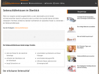 Screenshot des Blogs Seitenschläferkissen Blog