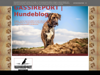 Screenshot des Blogs Gassireport