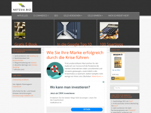 Screenshot des Blogs Netz24.biz