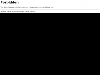 Screenshot des Blogs Looneytune.de – Dark Blog über Japan