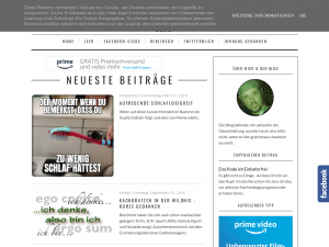 Screenshot des Blogs Der aufregende Blog