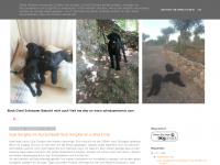 Screenshot des Blogs Black Giant Schnauzer