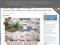 Screenshot des Blogs Kunst vom Feld