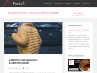 Screenshot des Blogs Portal0.de