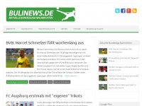 Screenshot des Blogs bulinews.de