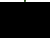 Screenshot des Blogs Irlandliebe