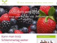Screenshot des Blogs Fett-Weg-Blog
