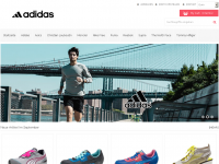 Screenshot des Blogs alexnfit
