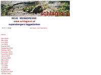 Screenshot des Blogs schlagloch