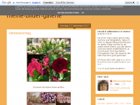 Screenshot des Blogs meine-bilder-galerie