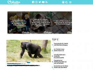 Screenshot des Blogs Nur positive Nachrichten