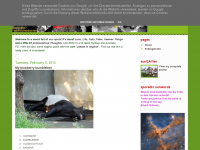 Screenshot des Blogs SUNFLECKR