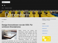 Screenshot des Blogs Datenhirn – Web 2.0 Blog