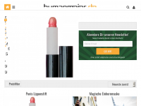 Screenshot des Blogs Geschenkideen für absolute Vollpfosten