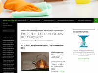 Screenshot des Blogs annas-putzblog.de