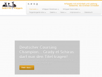 Screenshot des Blogs BellesVite Whippets