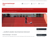 Screenshot des Blogs Wasserstaubsauger – endlich wieder richtig durchatmen können