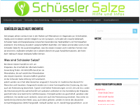 Screenshot des Blogs Schüssler Salze Hilfe und Infos