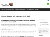 Screenshot des Blogs Pfannen Tipps