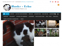 Screenshot des Blogs Husky-Echo