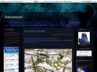 Screenshot des Blogs Salzwasser